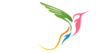 Gabfire Boutique Design Agency